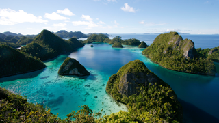 Take an Underwater Tour of the Most Biodiverse Reef on Earth